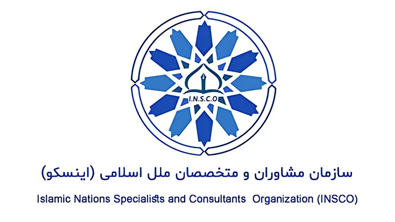 وکیل علیرضا طباطبایی هاشمی: سرپرست کمیته حقوق سایبری سازمان اینسکو